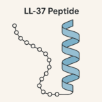 LL-37 Peptide: Your Body’s Natural Antimicrobial Warrior.